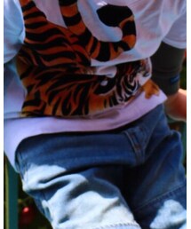 ZARA | Tシャツ/カットソー