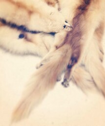 KINJI | フォックスファーティペット(マフラー)