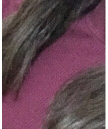 stradivarius | ニット/セーター