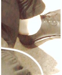 Dr. Martens | シューズ