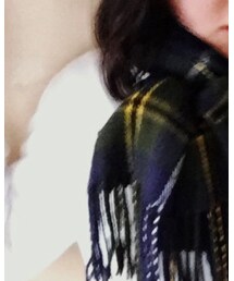 LEPSIM | マフラー