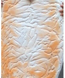 kamaboko | Tシャツ/カットソー