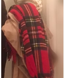 FRAMeWORK | マフラー