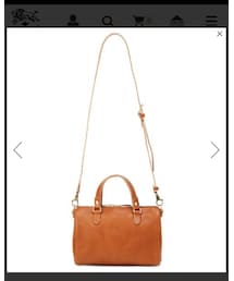 IL BISONTE | バッグ