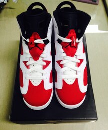 AIR JORDAN | Air Jordan 6 Carmine(その他シューズ)