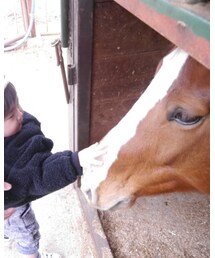 お馬さん🐎怖いものなし | (福袋/福箱)