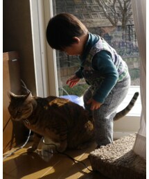 猫バスすぐ乗られる😺 | 福袋/福箱