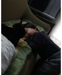 ジジもいます(ΦωΦ) | 福袋/福箱