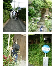 ぬくもりの森 | 福袋/福箱