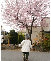 早咲きの桜🌸💕 | (福袋/福箱)