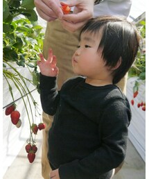 西松屋 | Tシャツ/カットソー