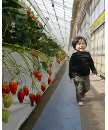 joe's  | その他パンツ