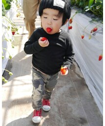 Levi's | スニーカー