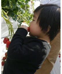 直食いやめぃ💢 | 福袋/福箱