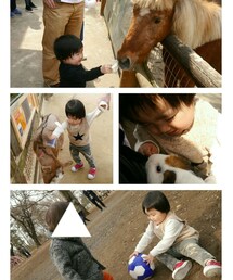 ローカルな動物公園へ | 福袋/福箱