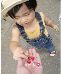 present | 福袋/福箱