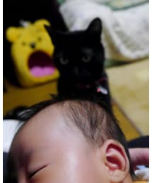 はじめまして | 福袋/福箱