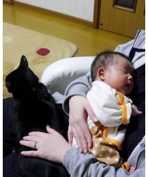 見守り隊 | 福袋/福箱