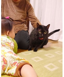 動くようになってる💦 | 福袋/福箱