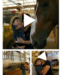 なめられた🐎 | 福袋/福箱