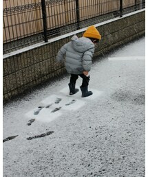 ぴょんぴょん | 福袋/福箱