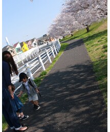 花を贈る | 福袋/福箱