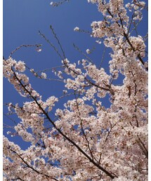 めっちゃ綺麗♡ | 福袋/福箱