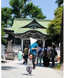 走るとデコがやばい | 福袋/福箱