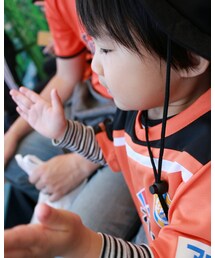 頑張れ頑張れ | 福袋/福箱