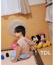 TDL出現 | 福袋/福箱