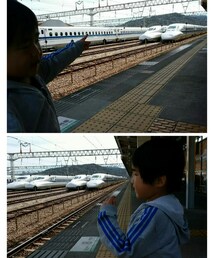 博多南駅 | 福袋/福箱