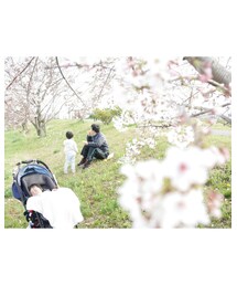 桜とうちの家族 | 福袋/福箱