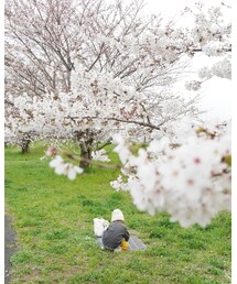 公園はしご | 福袋/福箱