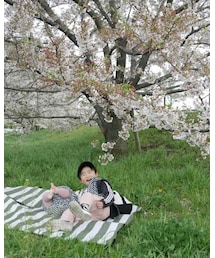 あ、こけた | 福袋/福箱