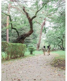 双子みたい♡ | 福袋/福箱