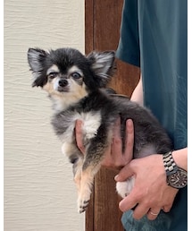 kuma | その他