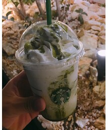starbucks | その他