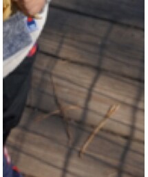 Birthday | チノパンツ