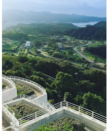 何故か白浜🐼🦁 | その他