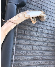 ビフォー | その他