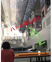ハトと | その他
