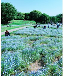 ｲﾝｽﾀ映え | その他