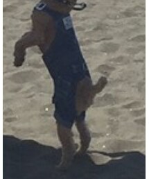 Lee | サロペット/オーバーオール