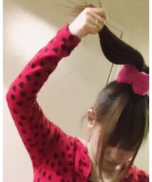 ぽーにーてーるー | その他