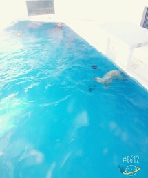 動物園♡ | しろくまさん♡(その他)