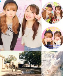 動物園♡ | 動物園♡(その他)