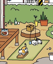 ねこあつめ♡ | ねこあつめ♡(その他)