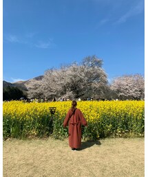一心行の桜 | その他アウター