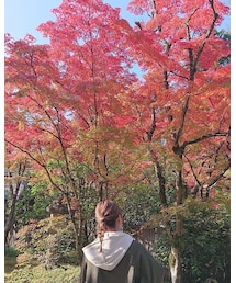紅葉🍁 | その他