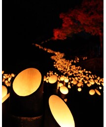 竹灯篭 | その他